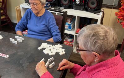 10 Best Brain Games for Seniors